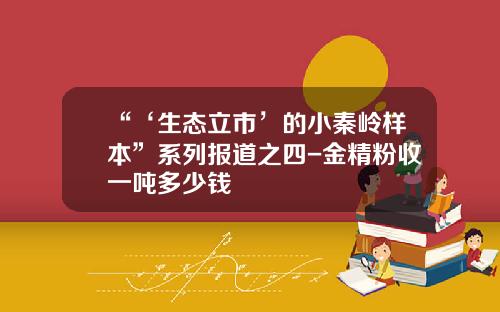 “‘生态立市’的小秦岭样本”系列报道之四-金精粉收一吨多少钱