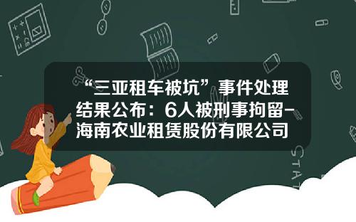 “三亚租车被坑”事件处理结果公布：6人被刑事拘留-海南农业租赁股份有限公司
