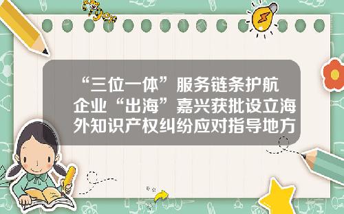 “三位一体”服务链条护航企业“出海”嘉兴获批设立海外知识产权纠纷应对指导地方分中心-设立海外分公司