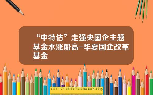 “中特估”走强央国企主题基金水涨船高-华夏国企改革基金