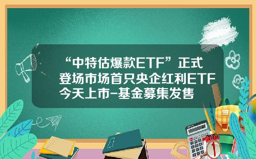 “中特估爆款ETF”正式登场市场首只央企红利ETF今天上市-基金募集发售
