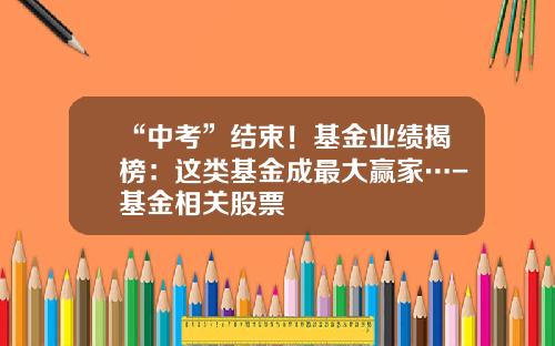 “中考”结束！基金业绩揭榜：这类基金成最大赢家…-基金相关股票