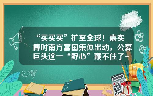 “买买买”扩至全球！嘉实博时南方富国集体出动，公募巨头这一“野心”藏不住了-南方全球基金公司