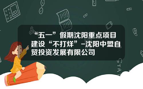 “五一”假期沈阳重点项目建设“不打烊”-沈阳中盟自贸投资发展有限公司
