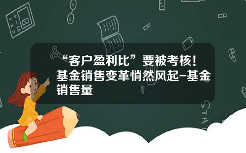 “客户盈利比”要被考核！基金销售变革悄然风起-基金销售量