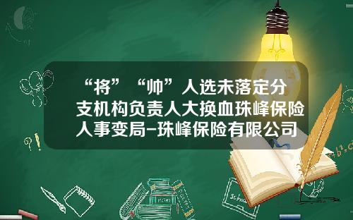 “将”“帅”人选未落定分支机构负责人大换血珠峰保险人事变局-珠峰保险有限公司北京