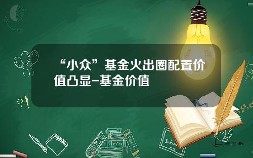 “小众”基金火出圈配置价值凸显-基金价值