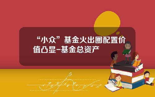 “小众”基金火出圈配置价值凸显-基金总资产
