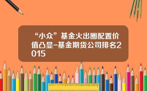 “小众”基金火出圈配置价值凸显-基金期货公司排名2015