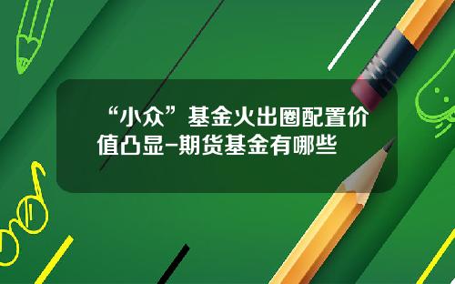 “小众”基金火出圈配置价值凸显-期货基金有哪些