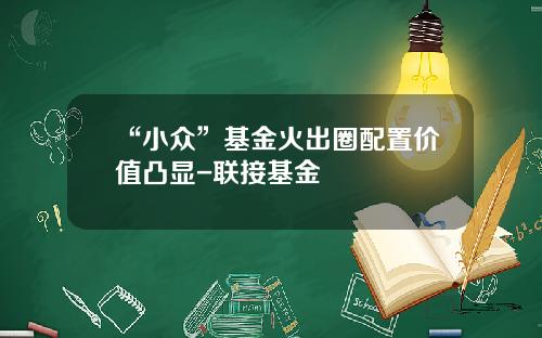 “小众”基金火出圈配置价值凸显-联接基金