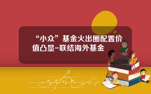 “小众”基金火出圈配置价值凸显-联结海外基金