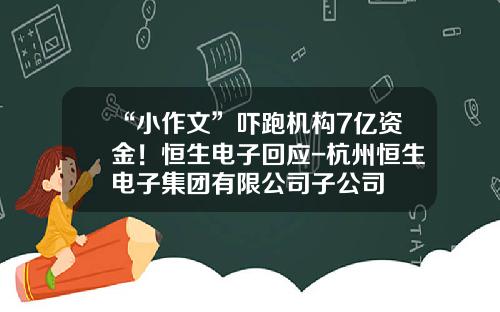 “小作文”吓跑机构7亿资金！恒生电子回应-杭州恒生电子集团有限公司子公司