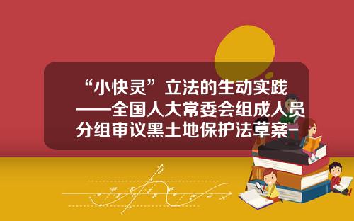 “小快灵”立法的生动实践——全国人大常委会组成人员分组审议黑土地保护法草案-黑土地基金