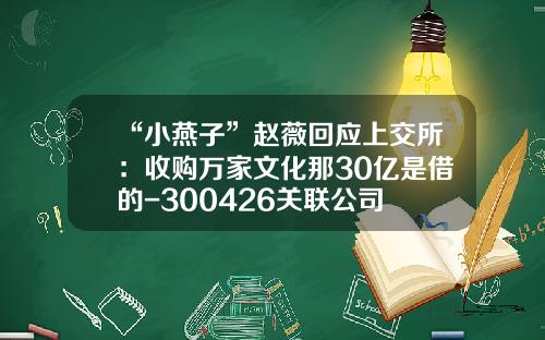 “小燕子”赵薇回应上交所：收购万家文化那30亿是借的-300426关联公司