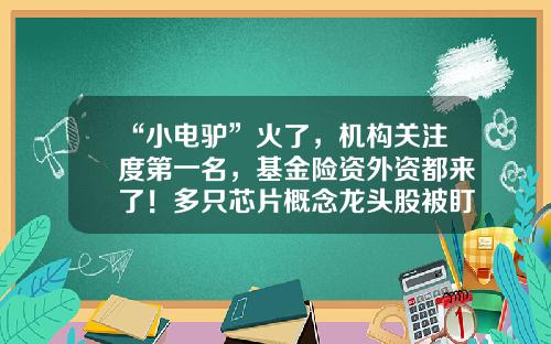 “小电驴”火了，机构关注度第一名，基金险资外资都来了！多只芯片概念龙头股被盯上（附名单）-冀中能源股票市盈率是多少