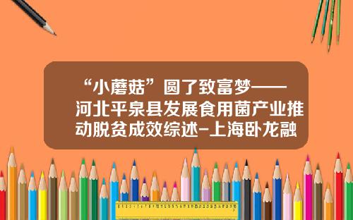 “小蘑菇”圆了致富梦——河北平泉县发展食用菌产业推动脱贫成效综述-上海卧龙融资租赁有限公司