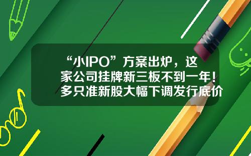 “小IPO”方案出炉，这家公司挂牌新三板不到一年！多只准新股大幅下调发行底价-新三板股票资讯