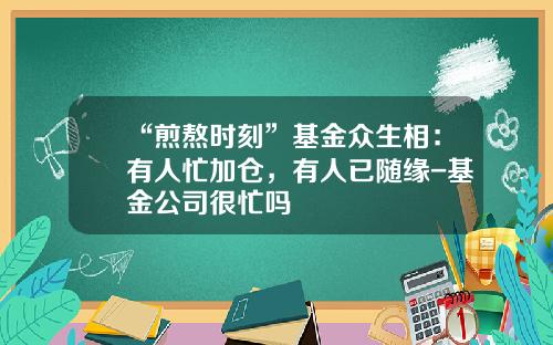 “煎熬时刻”基金众生相：有人忙加仓，有人已随缘-基金公司很忙吗