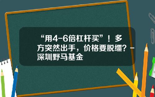 “用4-6倍杠杆买”！多方突然出手，价格要脱缰？-深圳野马基金