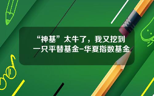 “神基”太牛了，我又挖到一只平替基金-华夏指数基金