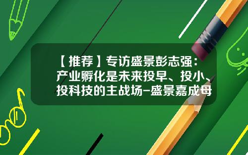【推荐】专访盛景彭志强：产业孵化是未来投早、投小、投科技的主战场-盛景嘉成母基金