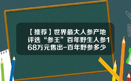 【推荐】世界最大人参产地评选“参王”百年野生人参168万元售出-百年野参多少钱