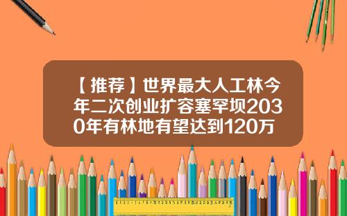 【推荐】世界最大人工林今年二次创业扩容塞罕坝2030年有林地有望达到120万亩-怎样算股值最少要多少棵树苗呢