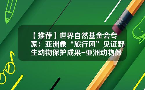 【推荐】世界自然基金会专家：亚洲象“旅行团”见证野生动物保护成果-亚洲动物保护基金会