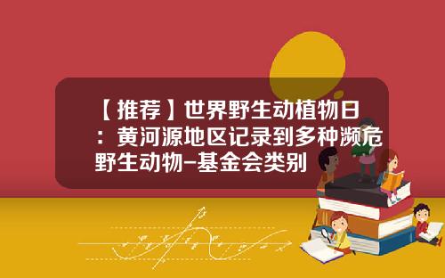 【推荐】世界野生动植物日：黄河源地区记录到多种濒危野生动物-基金会类别