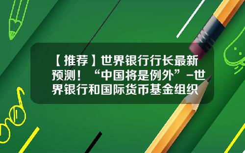【推荐】世界银行行长最新预测！“中国将是例外”-世界银行和国际货币基金组织
