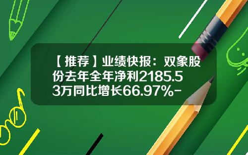 【推荐】业绩快报：双象股份去年全年净利2185.53万同比增长66.97%-双象光学材料有限公司