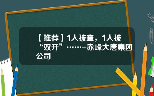 【推荐】1人被查,1人被“双开”……-赤峰大唐集团公司