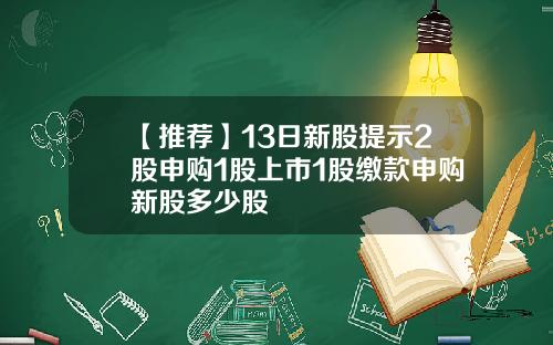 【推荐】13日新股提示2股申购1股上市1股缴款申购新股多少股