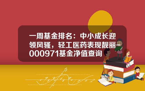 一周基金排名：中小成长迎领风骚，轻工医药表现靓丽-000971基金净值查询