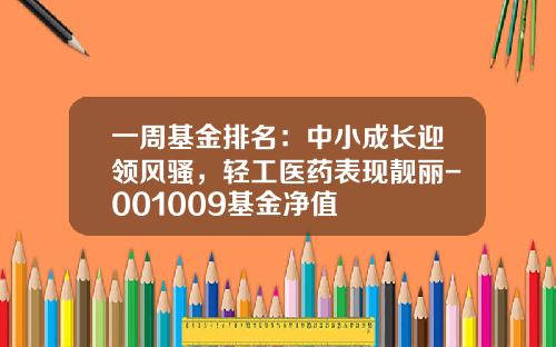 一周基金排名：中小成长迎领风骚，轻工医药表现靓丽-001009基金净值