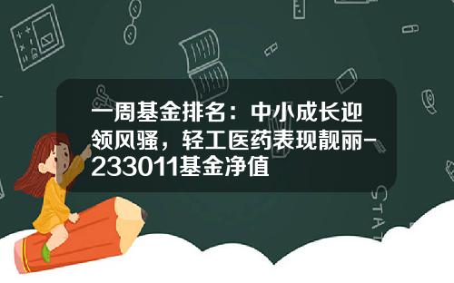 一周基金排名：中小成长迎领风骚，轻工医药表现靓丽-233011基金净值