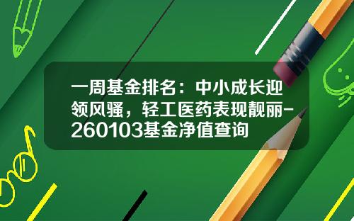 一周基金排名：中小成长迎领风骚，轻工医药表现靓丽-260103基金净值查询