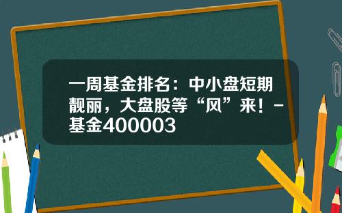 一周基金排名：中小盘短期靓丽，大盘股等“风”来！-基金400003