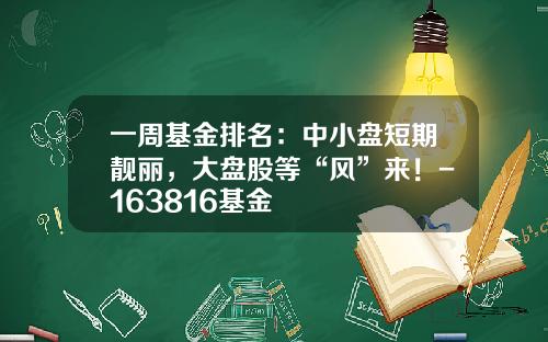 一周基金排名：中小盘短期靓丽，大盘股等“风”来！-163816基金