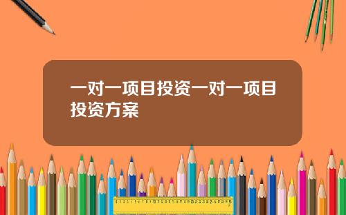 一对一项目投资一对一项目投资方案