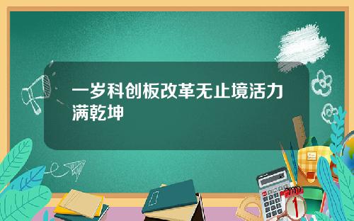 一岁科创板改革无止境活力满乾坤