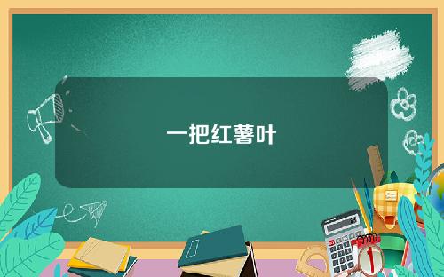 一把红薯叶