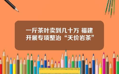 一斤茶叶卖到几十万 福建开展专项整治“天价岩茶”