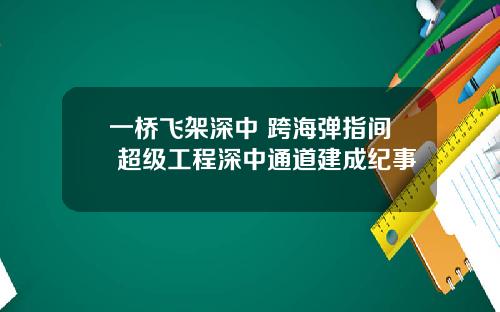 一桥飞架深中 跨海弹指间 超级工程深中通道建成纪事