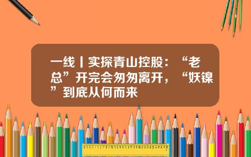 一线丨实探青山控股:“老总”开完会匆匆离开,“妖镍”到底从何而来