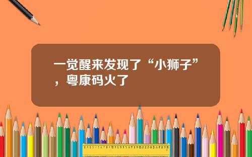 一觉醒来发现了“小狮子”，粤康码火了