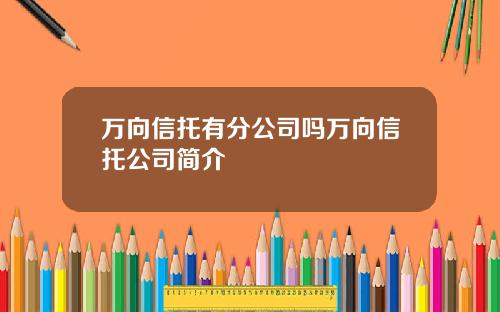 万向信托有分公司吗万向信托公司简介
