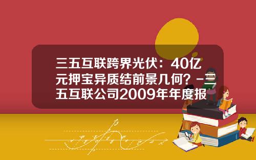 三五互联跨界光伏：40亿元押宝异质结前景几何？-三五互联公司2009年年度报告