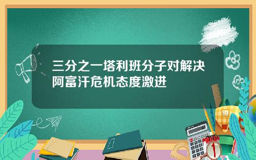 三分之一塔利班分子对解决阿富汗危机态度激进
